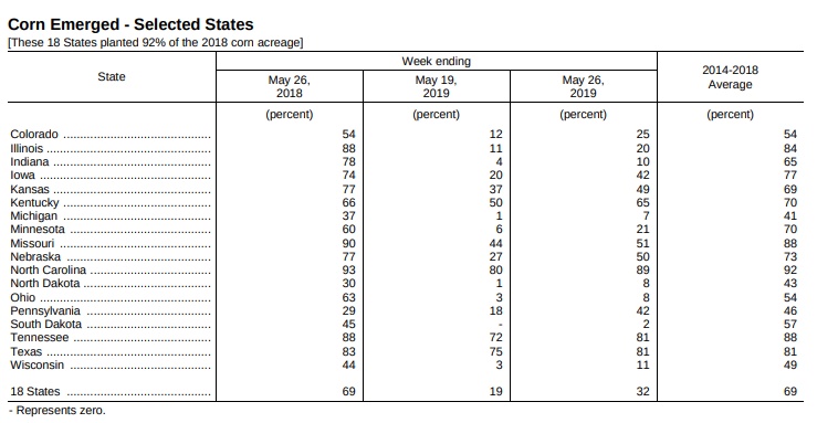 corn-emerged-by-may-26-2019.jpg