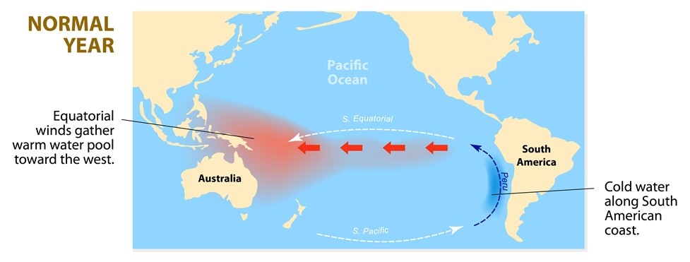 Normal-Year-ENSO.jpg